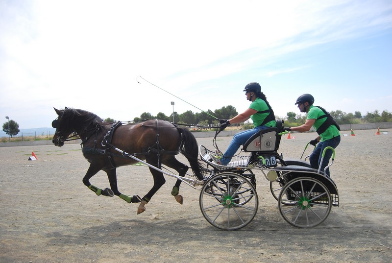 Mucho calor en La Pinturita en el Campeonato Navarro de Enganches Indoor